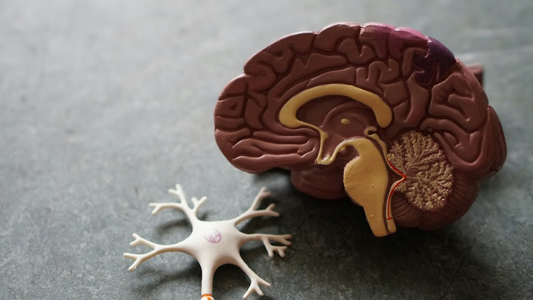 How to Improve Nerve Regeneration Naturally: Science-Backed Methods